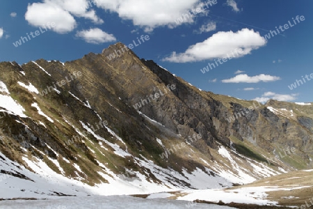 Wildental, Tuxertal, Oesterreich