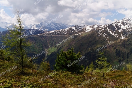 Zillertaler Berge, Oesterreich