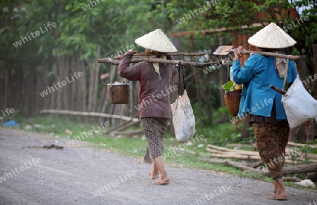 Die Landstrasse 12 beim Dorf Mahaxai Mai von Tham Pa Fa unweit der Stadt Tha Khaek in zentral Laos an der Grenze zu Thailand in Suedostasien.