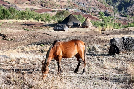 Die Berglandschaft beim Bergdorf Maubisse suedlich von Dili in Ost Timor auf der in zwei getrennten Insel Timor in Asien.  