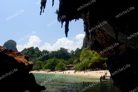 The Hat Phra Nang Beach at Railay near Ao Nang outside of the City of Krabi on the Andaman Sea in the south of Thailand. 