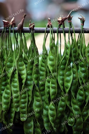 Erbsen auf dem Markt von Nonthaburi im Norden von Bangkok der Hauptstadt von Thailand in Suedostasien.  