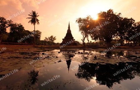 Ein Chedi beim Wat Mahathat Tempel in der Tempelanlage von Alt-Sukhothai in der Provinz Sukhothai im Norden von Thailand in Suedostasien.