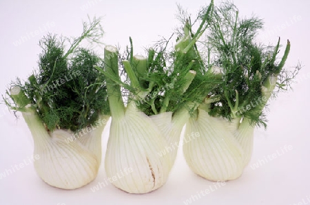 Fenchel