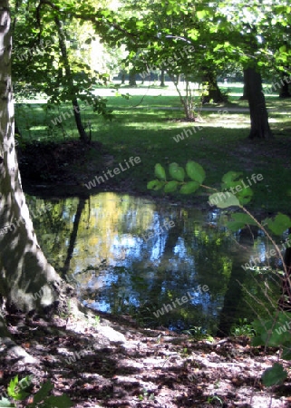 Englischer Garten M?nchen