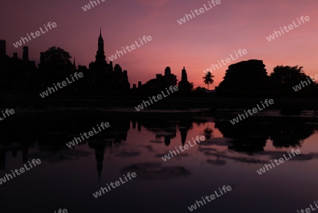 Der Wat Mahathat Tempel in der Tempelanlage von Alt-Sukhothai in der Provinz Sukhothai im Norden von Thailand in Suedostasien.