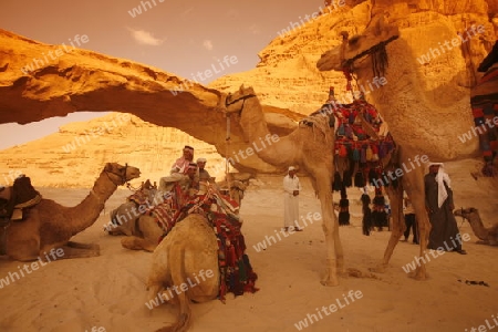 The Landscape of the Wadi Rum Desert in Jordan in the middle east.