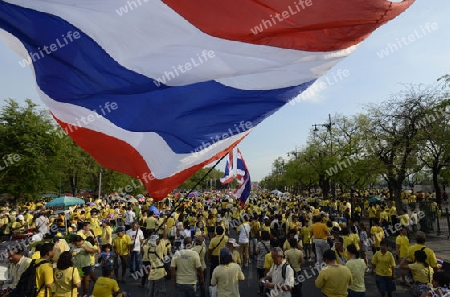 Tausende von Thailaender zelebrieren den Kroenungstag des Koenig Bhumibol auf dem Sanam Luang Park vor dem Wat Phra Kaew in der Stadt Bangkok in Thailand in Suedostasien.  