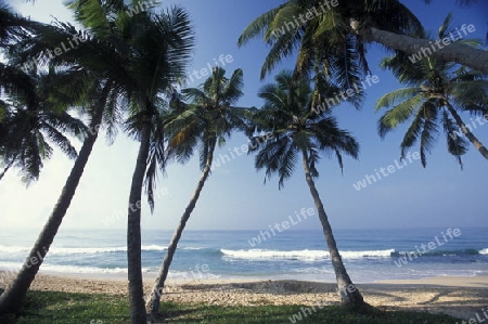 Asien, Indischer Ozean, Sri Lanka,
Ein Traumstrand beim Kuestendorf Hikkaduwa an der Suedwestkueste von Sri Lanka. (URS FLUEELER)






