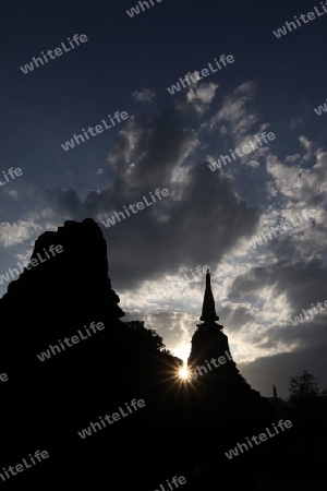 Der Wat Chang Lom im Si Satchanalai-Chaliang Historical Park rund 50 Km von Sukhothai in der Provinz Sukhothai im Norden von Thailand in Suedostasien.