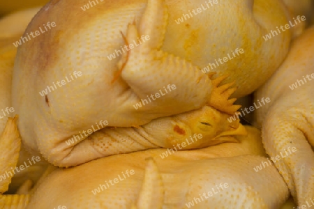 Duck at the morning Market in Nothaburi in the north of city of Bangkok in Thailand in Southeastasia.