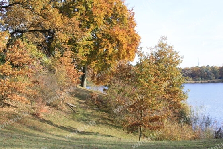 Am Heiligen See