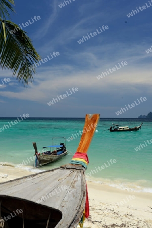 A Beach on the Island of Ko PhiPhi on Ko Phi Phi Island outside of the City of Krabi on the Andaman Sea in the south of Thailand. 