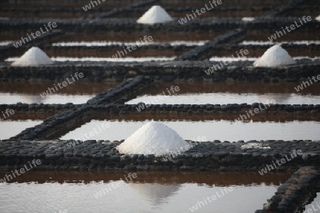 the Salinas of Las Salinas on the Island Fuerteventura on the Canary island of Spain in the Atlantic Ocean.