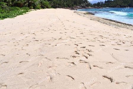 Sunny day beach view on the paradise islands Seychelles.