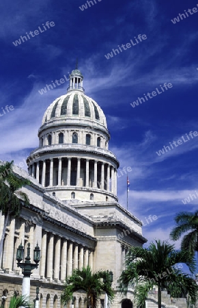 the capitolio National in the city of Havana on Cuba in the caribbean sea.