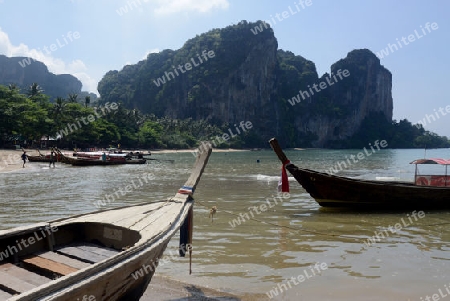 The Hat Tom Sai Beach at Railay near Ao Nang outside of the City of Krabi on the Andaman Sea in the south of Thailand. 