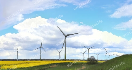 Panoramic view on alternative energy wind mills in a windpark