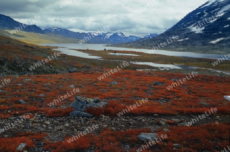 Jotunheimen