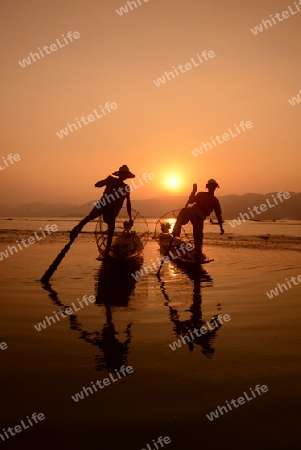 Fishermen at sunrise in the Landscape on the Inle Lake in the Shan State in the east of Myanmar in Southeastasia.