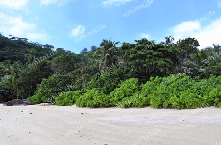 Sunny day beach view on the paradise islands Seychelles.