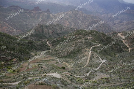 The Landcape near the Village of  San Bartolome in the centre of the Canary Island of Spain in the Atlantic ocean.