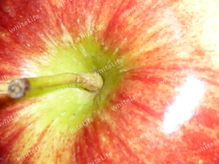 Apfel