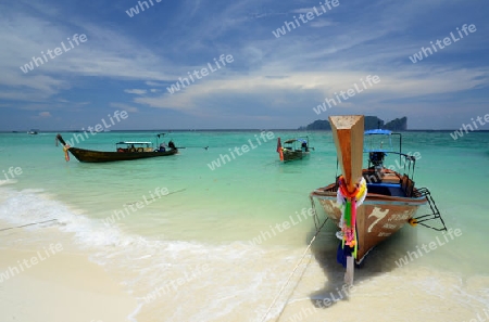 A Beach on the Island of Ko PhiPhi on Ko Phi Phi Island outside of the City of Krabi on the Andaman Sea in the south of Thailand. 