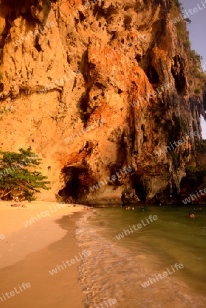 The Hat Phra Nang Beach at Railay near Ao Nang outside of the City of Krabi on the Andaman Sea in the south of Thailand. 