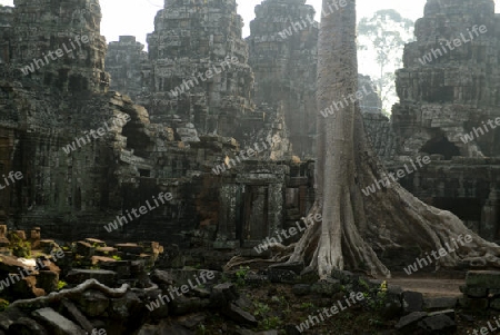 The Temple of  Banteay Kdei in the Temple City of Angkor near the City of Siem Riep in the west of Cambodia.