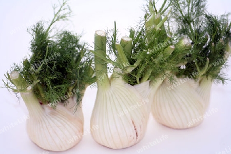 Fenchel