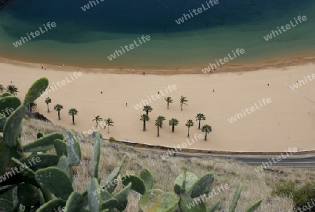 The Playa de las Teresitas at the village of San Andrea on the Island of Tenerife on the Islands of Canary Islands of Spain in the Atlantic.  