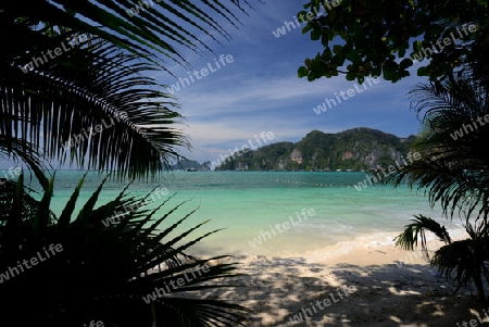 A Beach on the Island of Ko PhiPhi on Ko Phi Phi Island outside of the City of Krabi on the Andaman Sea in the south of Thailand. 