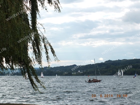 Am    Bodensee