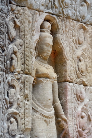 The Temple of  Preah Khan in the Temple City of Angkor near the City of Siem Riep in the west of Cambodia.