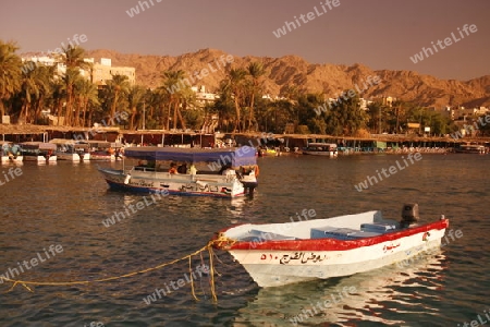 the coast with a Beach in the city of Aqaba on the red sea in Jordan in the middle east.