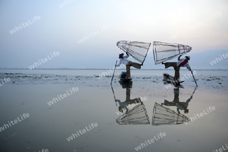 Fishermen at sunrise in the Landscape on the Inle Lake in the Shan State in the east of Myanmar in Southeastasia.