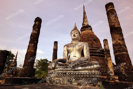 Eine Buddha Figur  im Wat Mahathat Tempel in der Tempelanlage von Alt-Sukhothai in der Provinz Sukhothai im Norden von Thailand in Suedostasien.