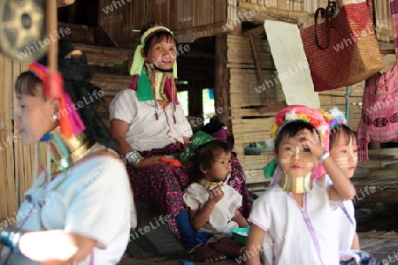 Eine Traditionell gekleidete Langhals Frau eines Paudang Stammes aus Burma lebt in einem Dorf noerdlich von Chiang Mai in Nord Thailand. 