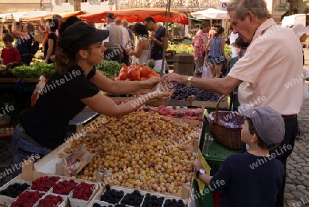 the market in the old town of Freiburg im Breisgau in the Blackforest in the south of Germany in Europe.