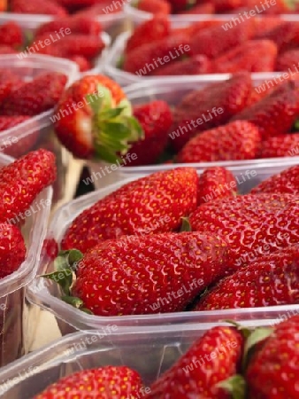 frische Erdbeeren auf dem Markt