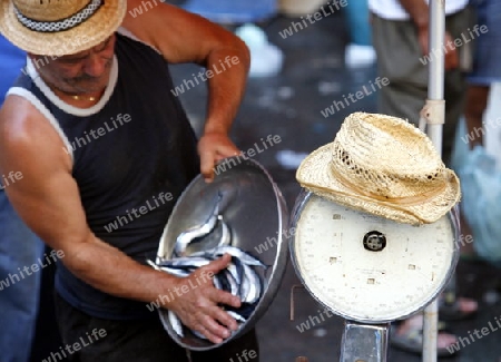 The Fishmarket in the old Town of Catania in Sicily in south Italy in Europe.