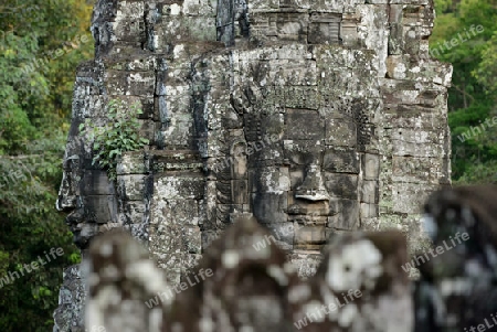 Stone Faces the Tempel Ruin of Angkor Thom in the Temple City of Angkor near the City of Siem Riep in the west of Cambodia.