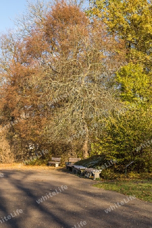 Herbstlandschaft