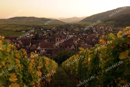 the olt town of the village of Riquewihr in the province of Alsace in France in Europe