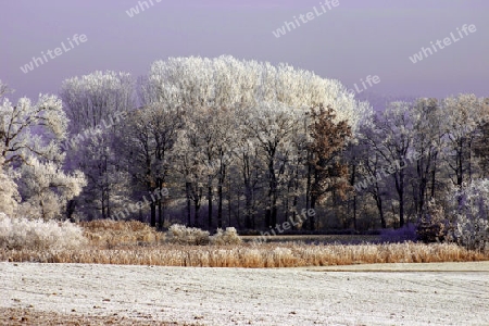 Winterlandschaft