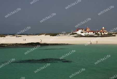 the Beach of  Los Lagos on the Island Fuerteventura on the Canary island of Spain in the Atlantic Ocean.