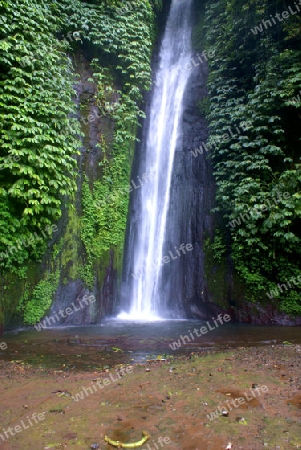 Wasserfall Bali