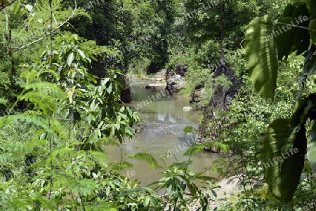 Die Landschaft in der Bergregion von Soppong im norden von Thailand in Suedostasien.