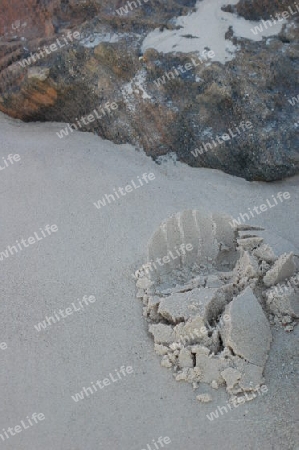 Foot print in wet beach sand